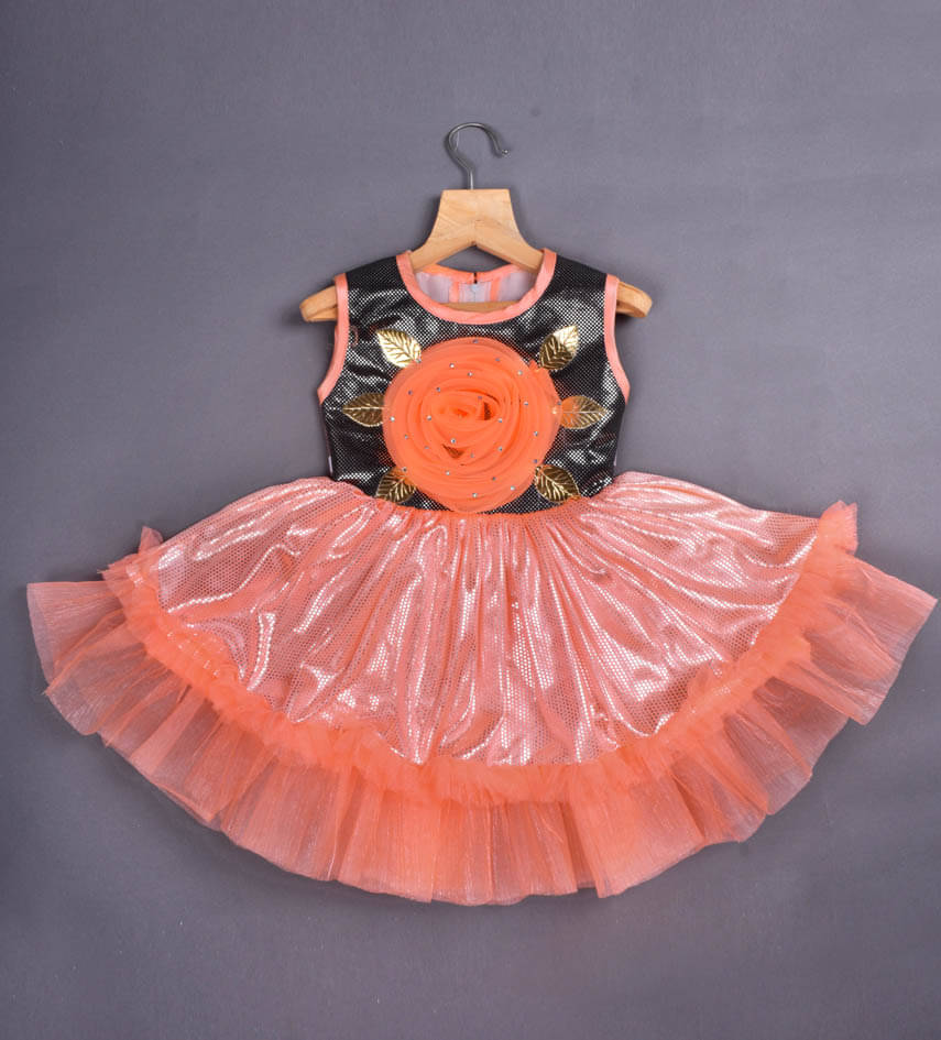     			Orange rose