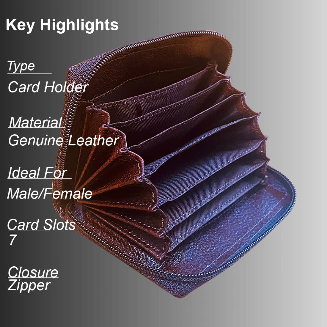 STYLE SHOES Brown Wallet - Handbags | Buy online on ZillyBuy