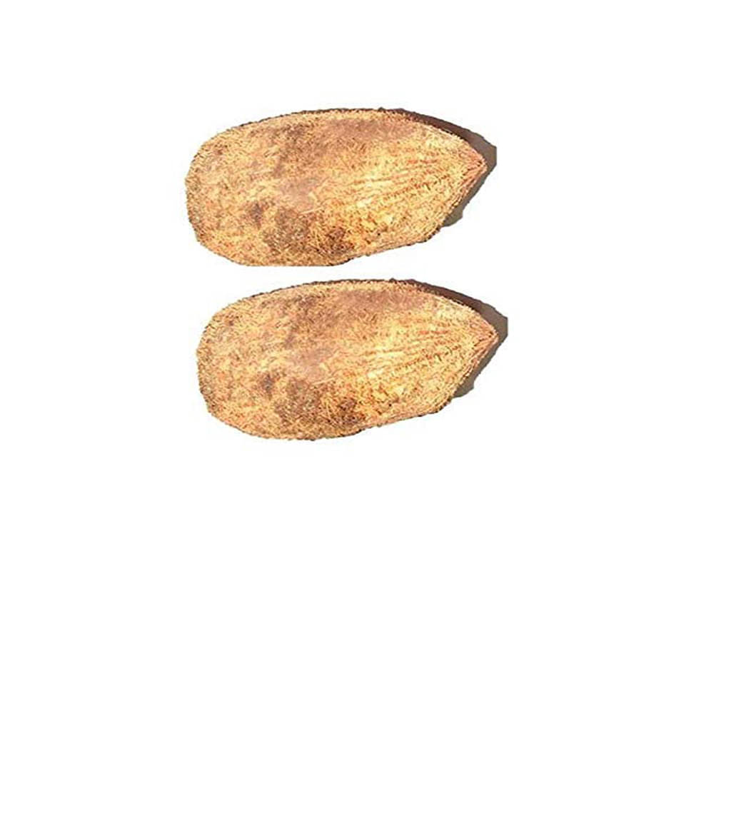     			PADMAVATHI ENTERPRISES - Ekakshi Nariyal - Ekakshee - One Eyed Coconut For Pooja - Pack Of 2