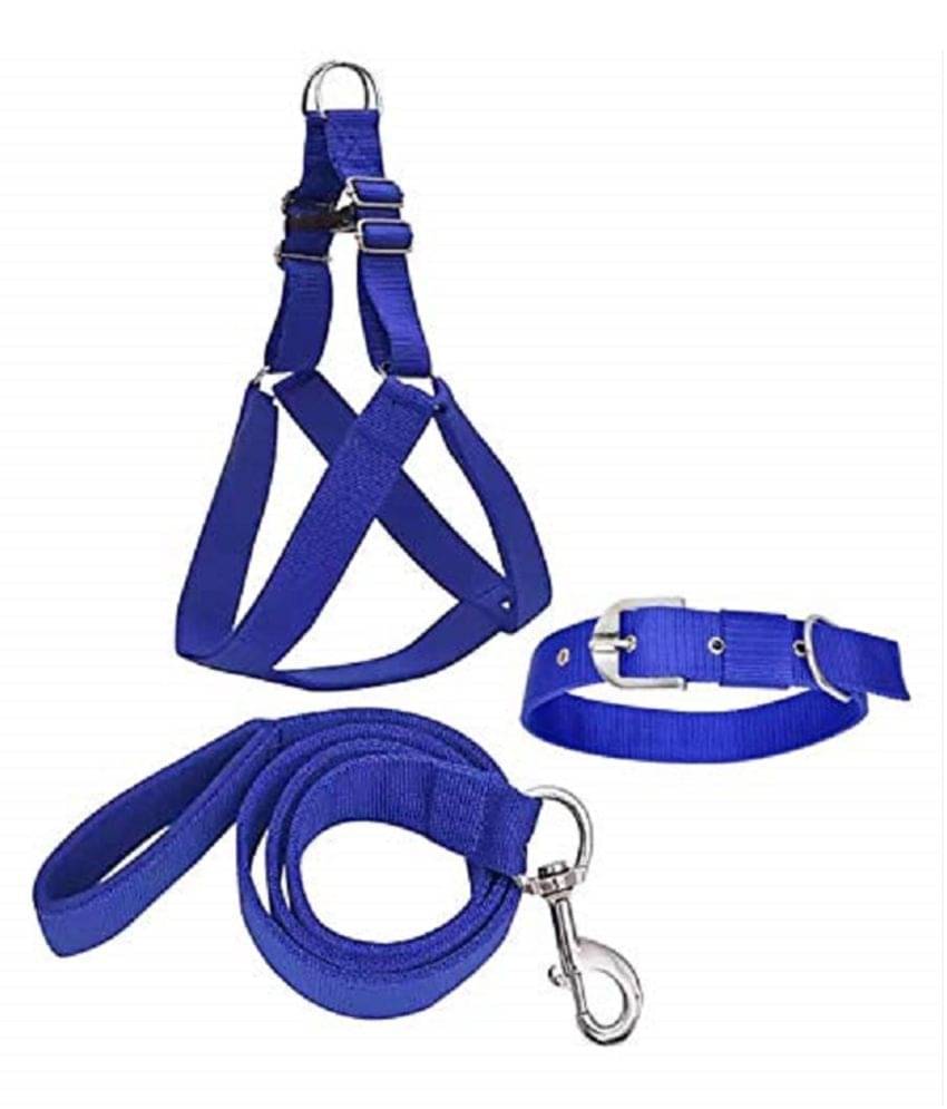     			Smart Doggie - Blue Dog Combo (Large)