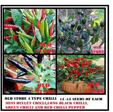 Combo pack of 4 type chilli seeds 15-15 seeds of each 1 (Small bullet black chilli long black chilli red chilli pepper green chilli) for indoor outdoor home gardening use with instruction manual     			Combo pack of 4 type chilli seeds 15-15 seeds of each 1 (Small bullet black chilli long black chilli red chilli pepper green chilli) for indoor outdoor home gardening use with instruction manual