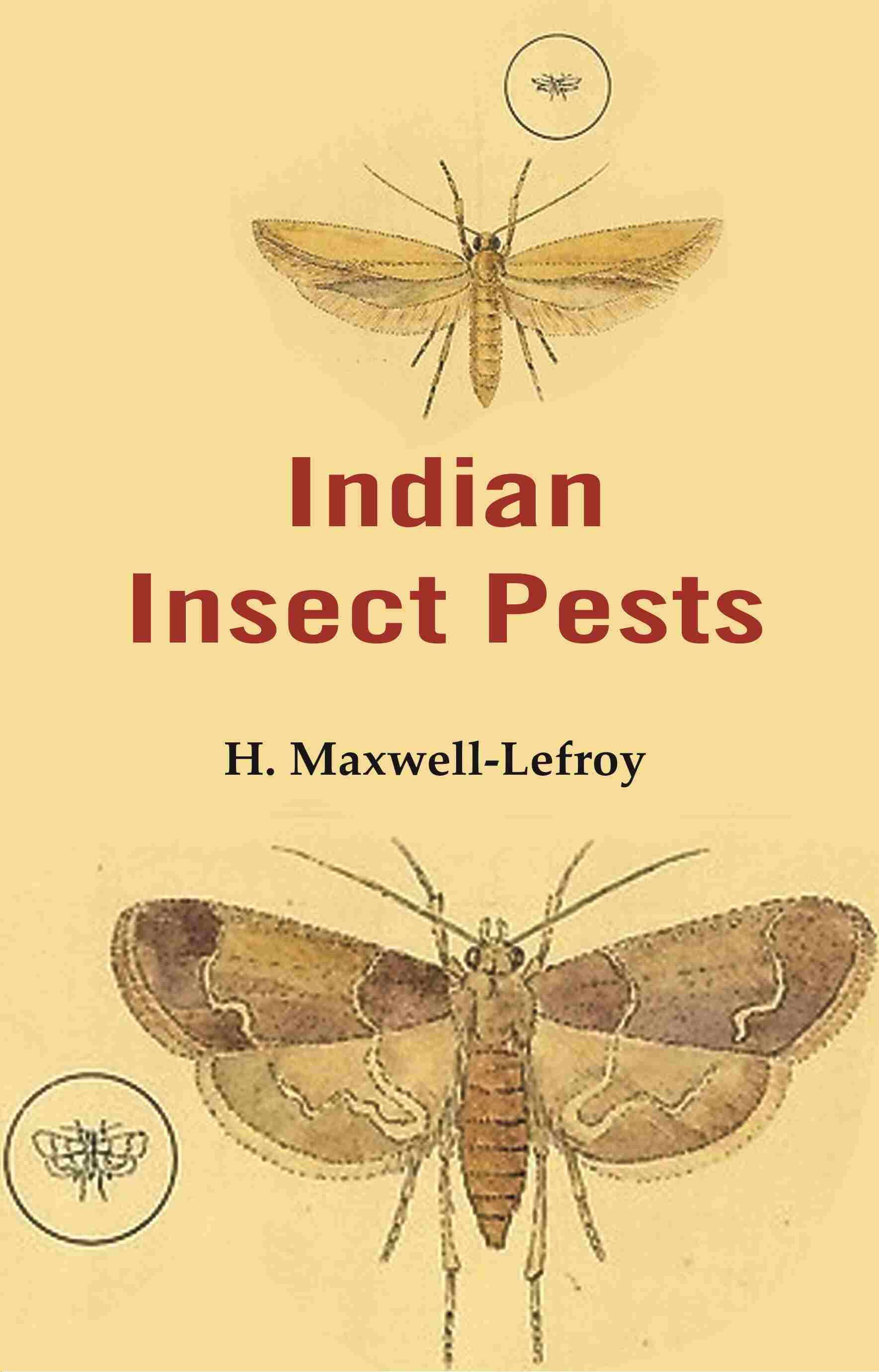     			Indian Insect Pests