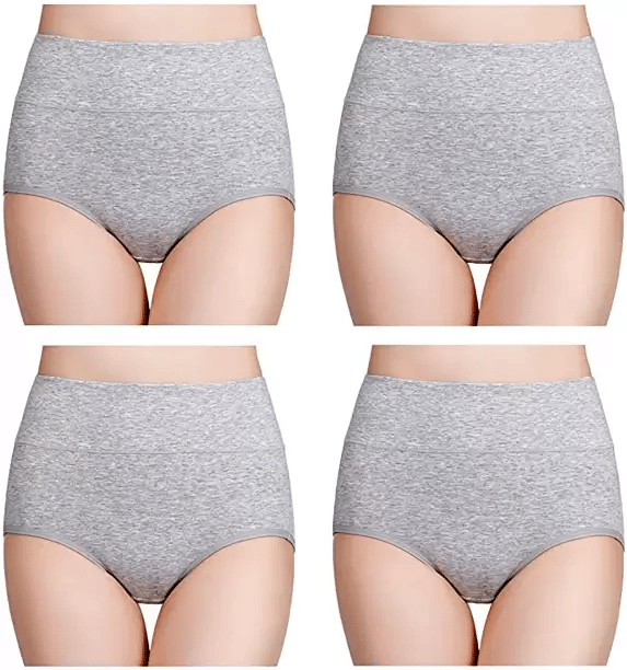 Louis Craft Pack of 4 Cotton Lycra Hipster For Women ( Grey ) Louis Craft Pack of 4 Cotton Lycra Hipster For Women ( Grey )