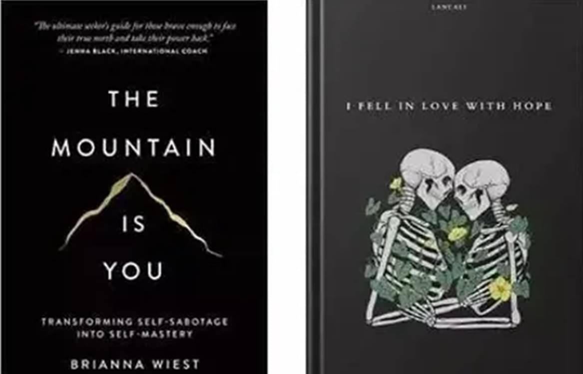     			THE MOUNTAIN IS YOU + I FELL IN LOVE WITH HOPE