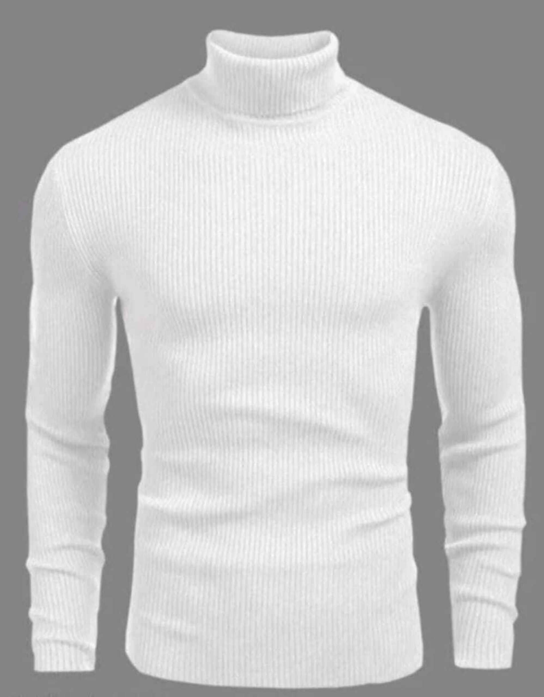 TREND SKY Woollen High Neck Men's Full Sleeves Pullover Sweater - White ( Pack of 1 )