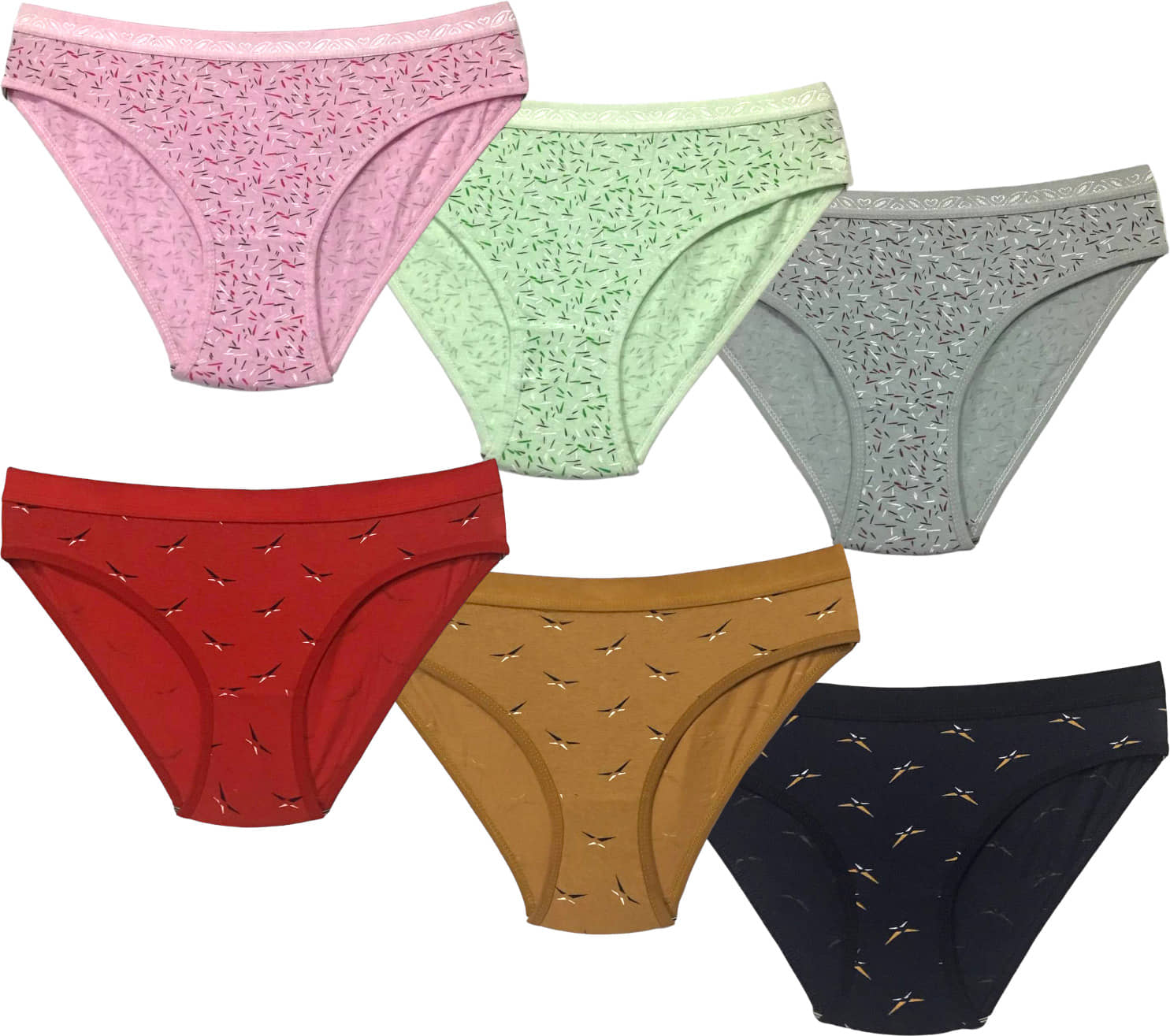 REONY Pack of 6 Cotton Hipster For Women ( Multicolor3 )