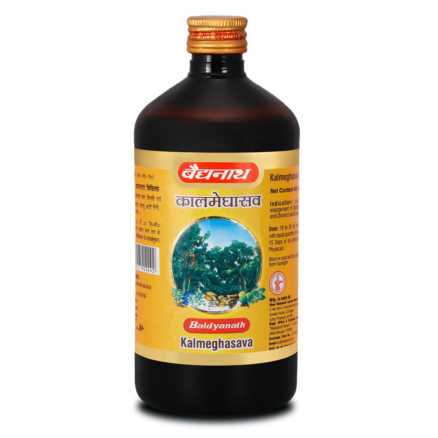 Baidyanath Kalmeghasav for Digestion Hepatoprotective & Protects the liver 450ml (Pack of 1)