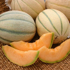 Jignisha Seeds Hybrid Muskmelon Fruit ( 30 Seeds ) Jignisha Seeds Hybrid Muskmelon Fruit ( 30 Seeds )