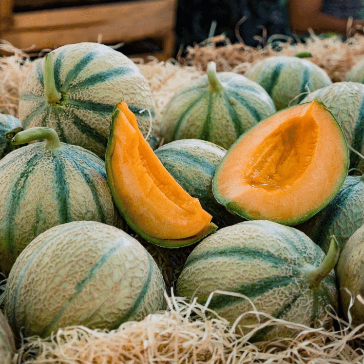     			Jignisha Seeds Muskmelon Striped Fruit ( 30 Seeds )
