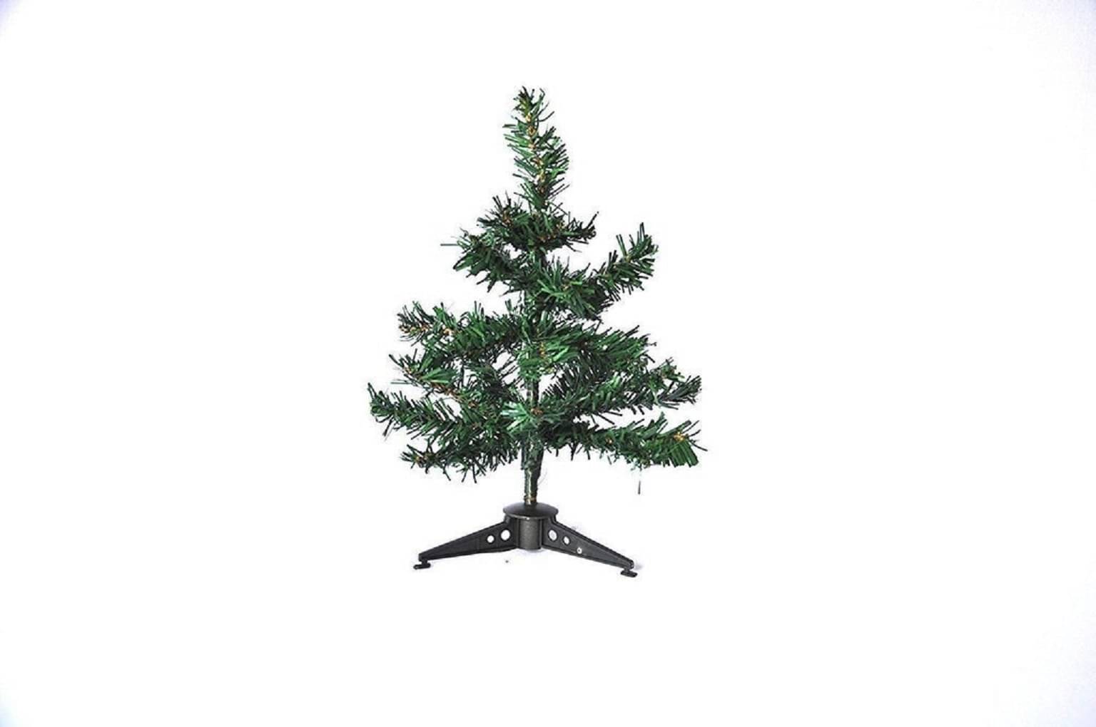 Green plant indoor Green 15 cms Christmas Tree Green plant indoor Green 15 cms Christmas Tree