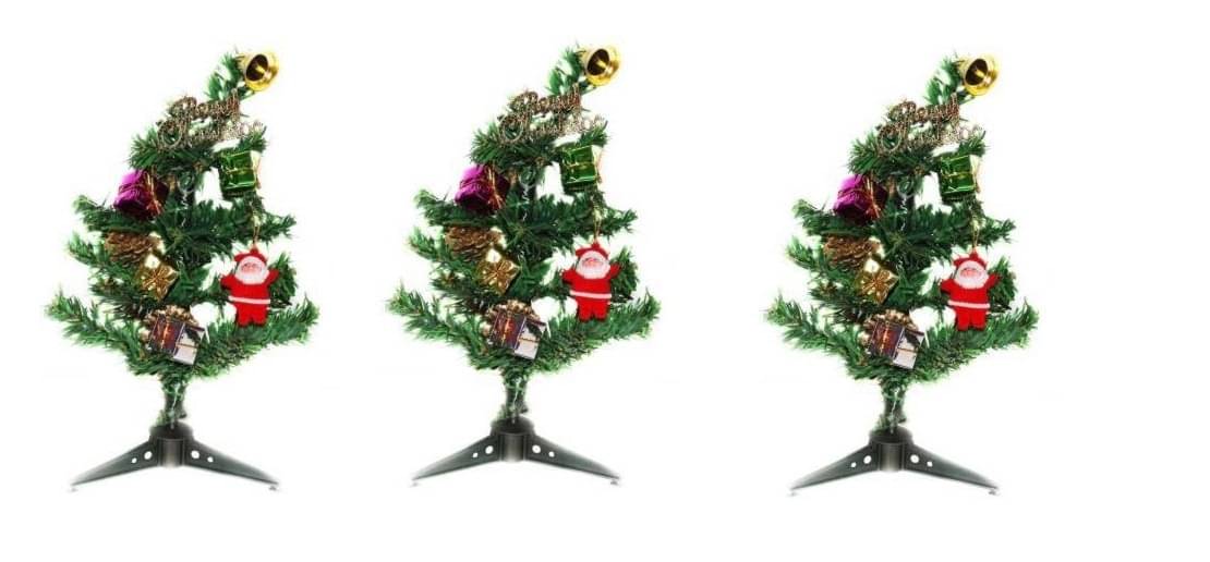 Green plant indoor Green 15 cms Christmas Tree Green plant indoor Green 15 cms Christmas Tree