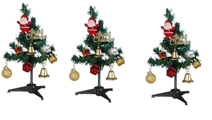 Green plant indoor Green 15 cms Christmas Tree Green plant indoor Green 15 cms Christmas Tree