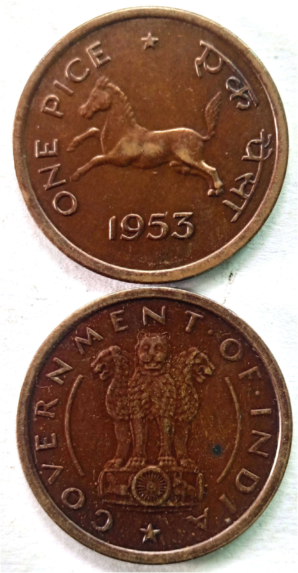     			HORSE - UNC 1953 - 1PCS