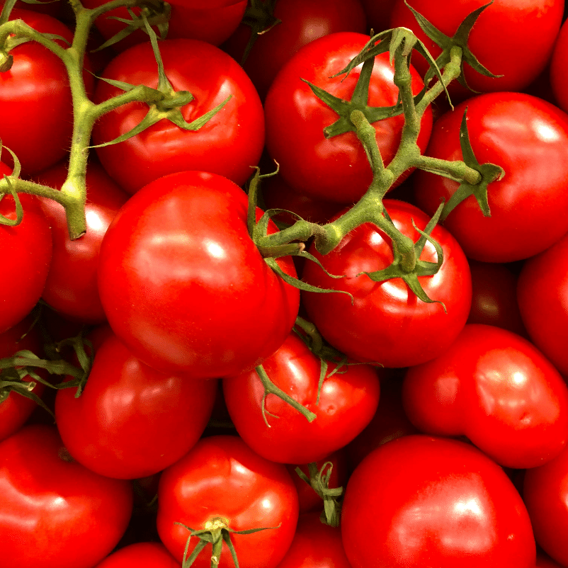 JignishaSeeds Tomato Vegetable ( 50 Seeds ) JignishaSeeds Tomato Vegetable ( 50 Seeds )
