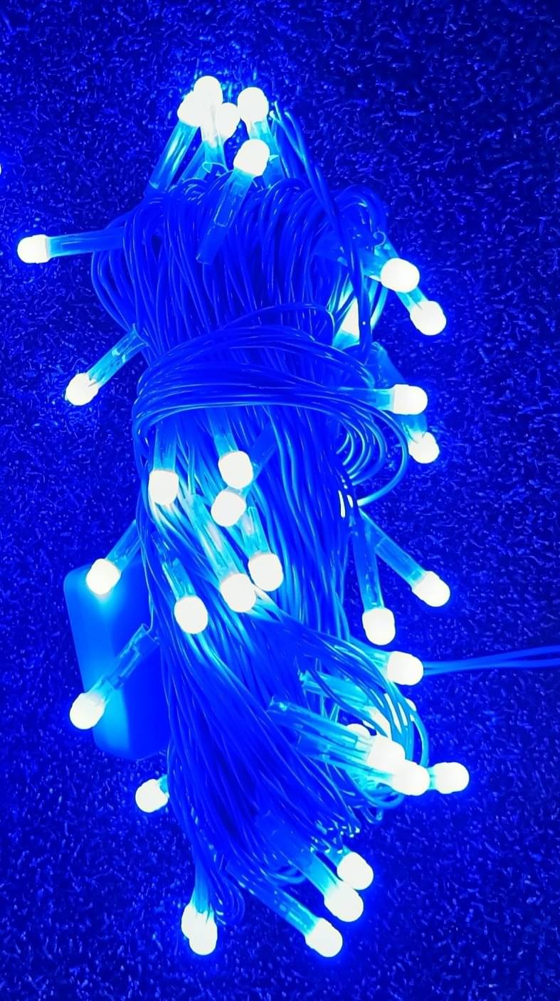    			SPARKWORLD Blue 13M String Light ( Pack Of 1 )