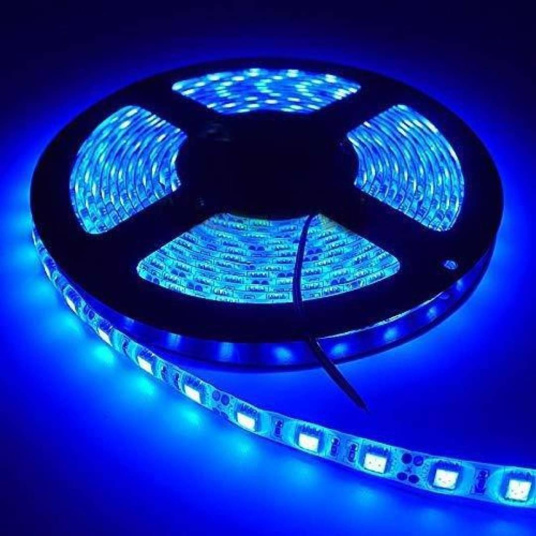     			SPARKWORLD Blue 1Mtr String Light ( Pack Of 1 )