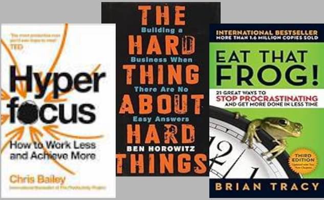     			Hyperfocus + The Hard Thing about Hard Thing + Eat That Frog !