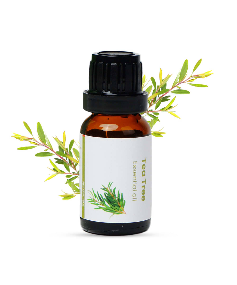     			Ganeshaspeaks Tea Tree Essential Oil 90 g ( Pack of 1 )