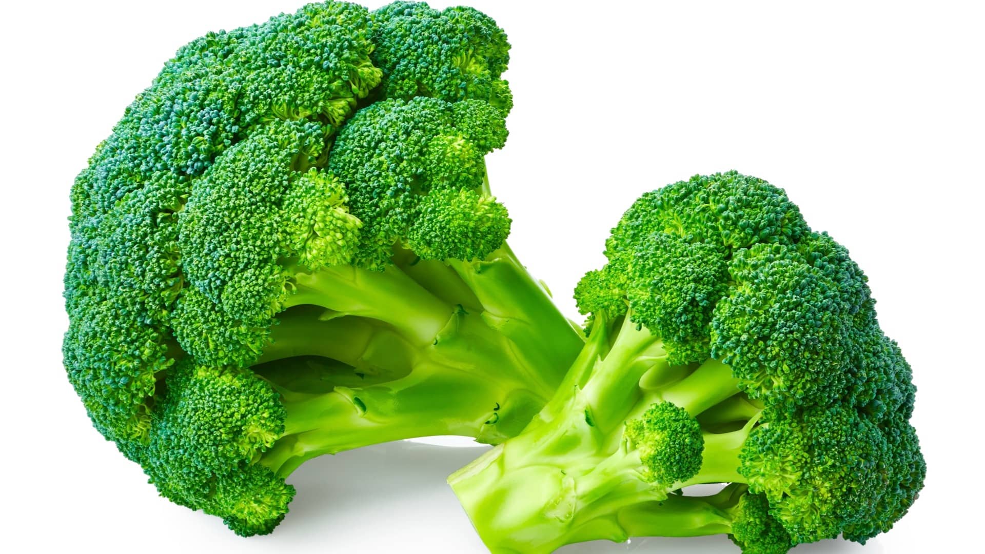 LiveNature Hybrid Broccoli Vegetable ( 100 Seeds )