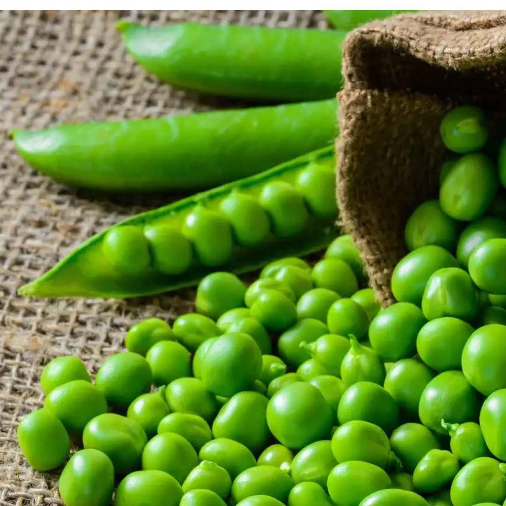     			PARTHVA SEEDS Peas Vegetable ( 50 Seeds )