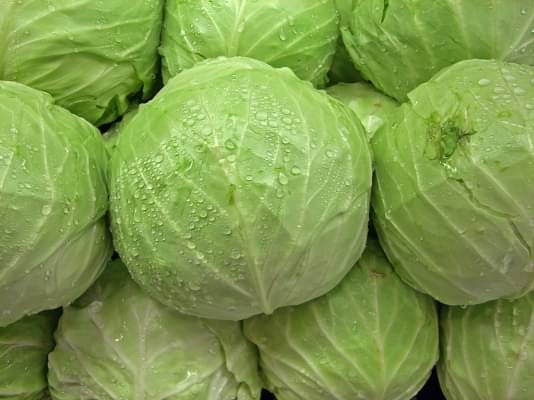     			LiveNature Cabbage/Patta Gobhi/Bandha Gobhi Winter Vegetable Plant Seeds | For Home Garden & Terrace – Pack of 100 Seeds