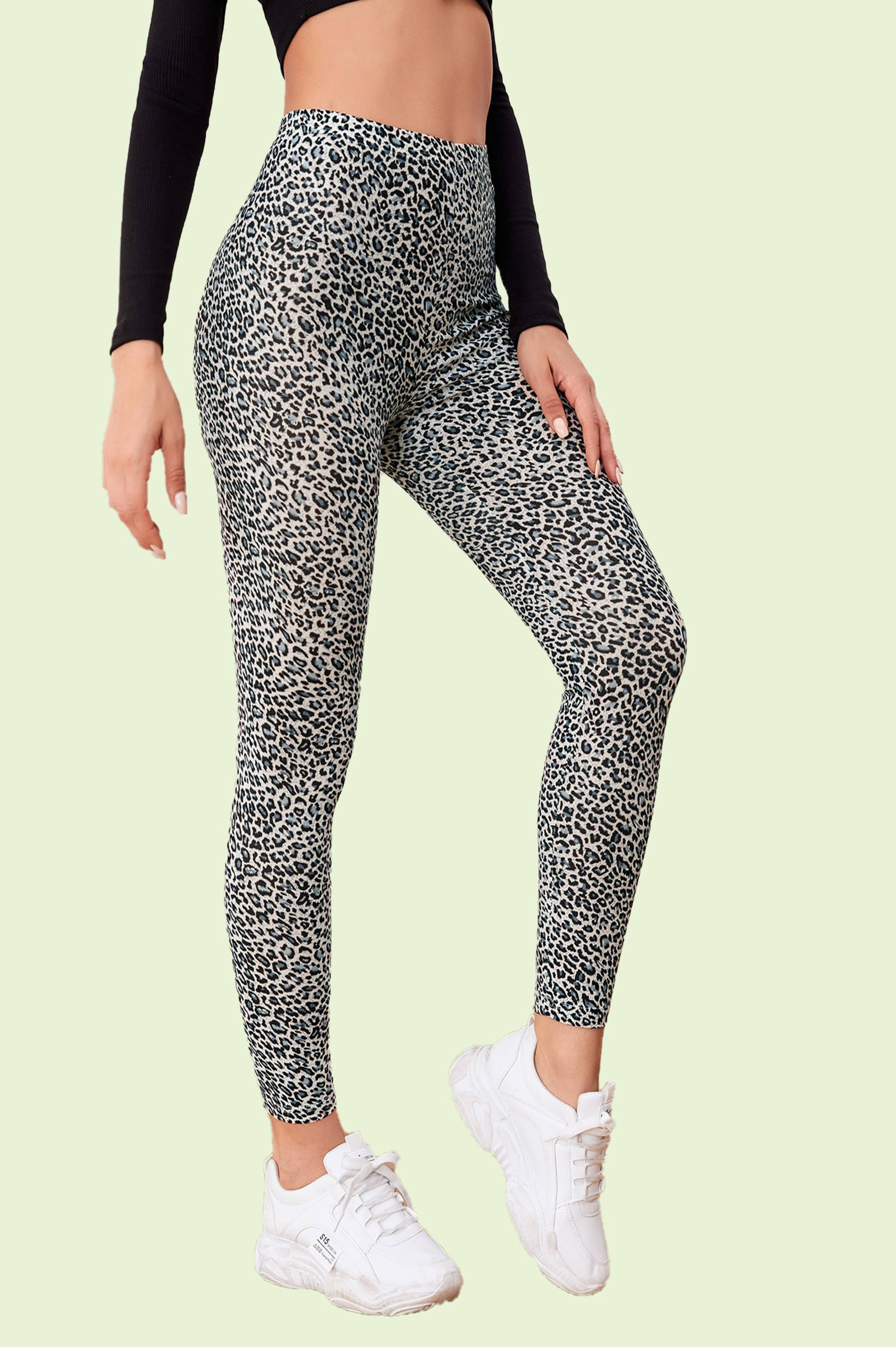 DTR FASHION - Cotton Blend Regular Fit Multicolor Women's Jeggings ( Pack of 1 )