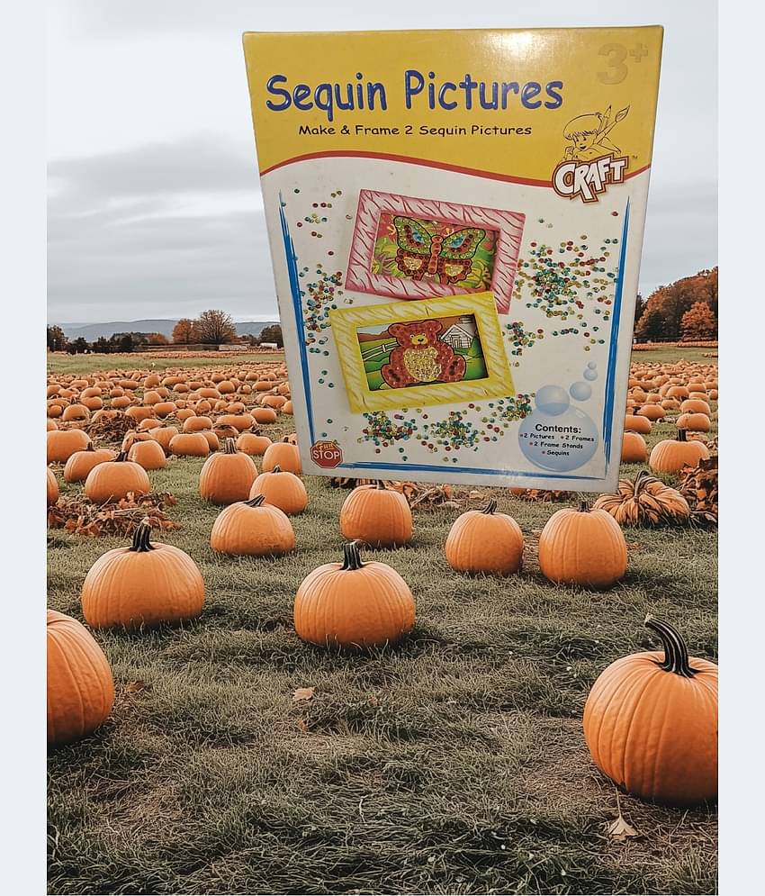 FUNSTOP-MAKE AND FRAME 2 SEQUIN PICTURES