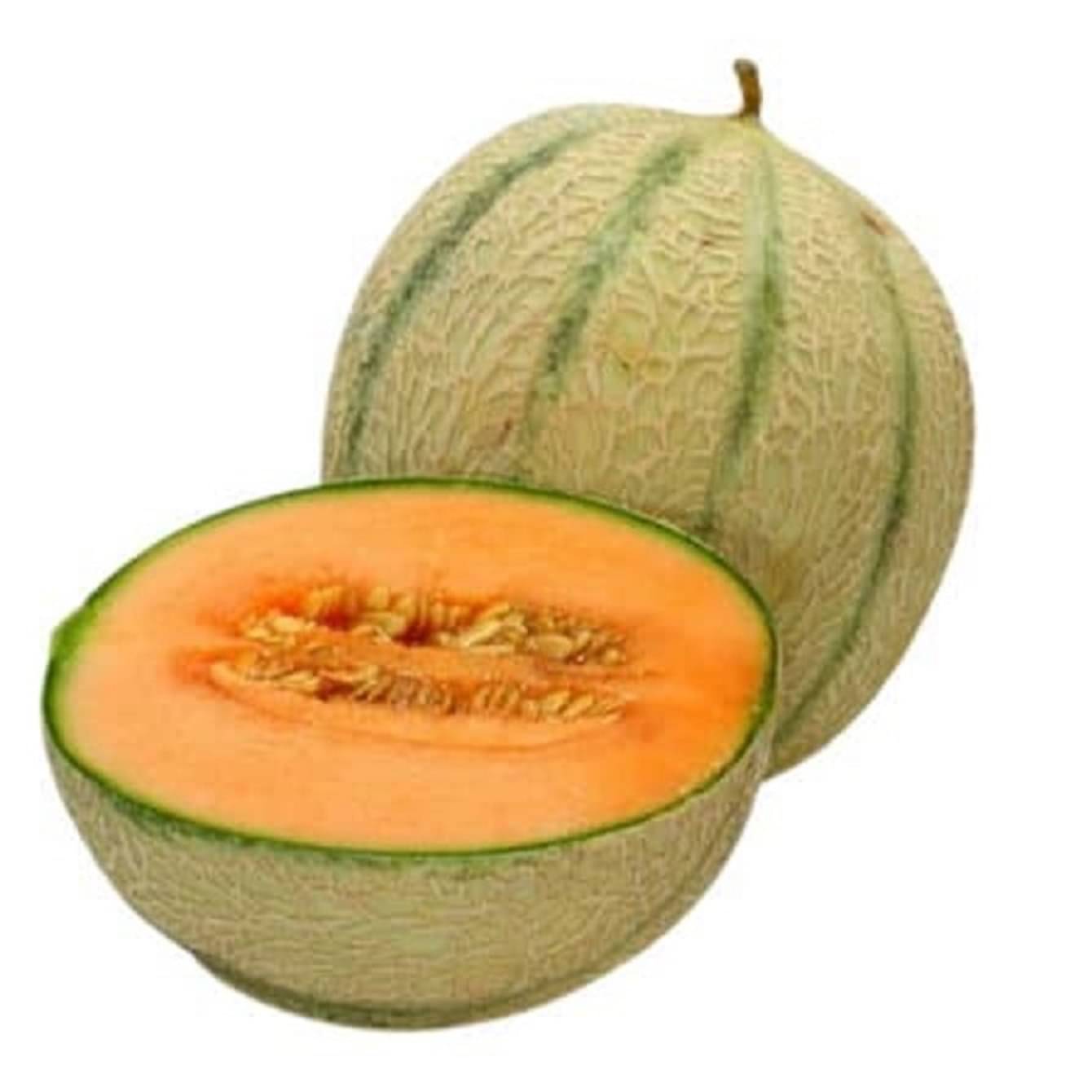 PARTHVA SEEDS Hybrid Muskmelon Fruit ( 60 Seeds ) PARTHVA SEEDS Hybrid Muskmelon Fruit ( 60 Seeds )