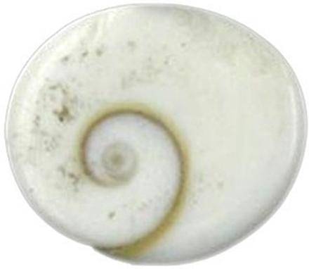     			Shri Astha Vinayak Vastu Showpiece 2 cm - Pack of 1