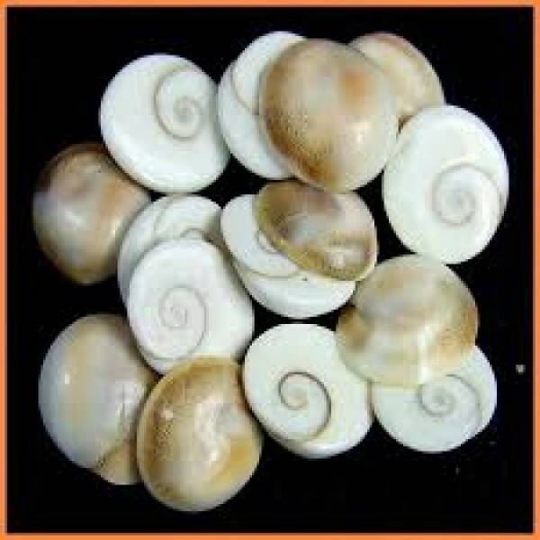 Shri Astha Vinayak Vastu Showpiece 0.2 cm - Pack of 1 Shri Astha Vinayak Vastu Showpiece 0.2 cm - Pack of 1