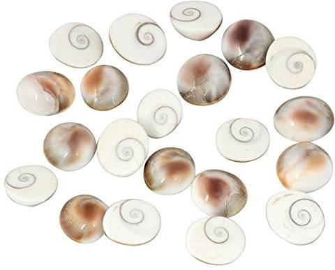     			Shri Astha Vinayak Vastu Showpiece 4 cm - Pack of 1