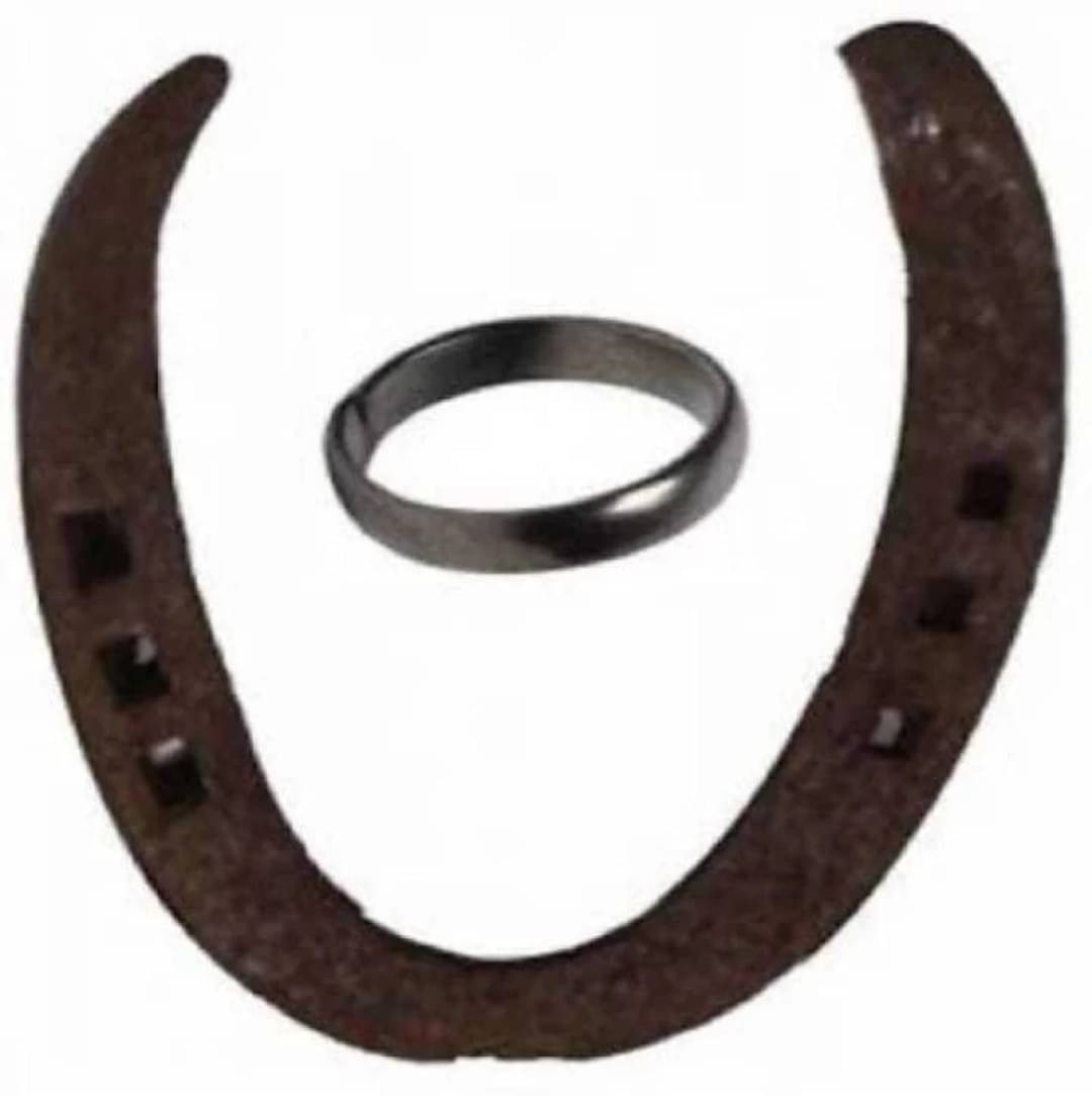     			Shri Astha Vinayak Iron Yantra