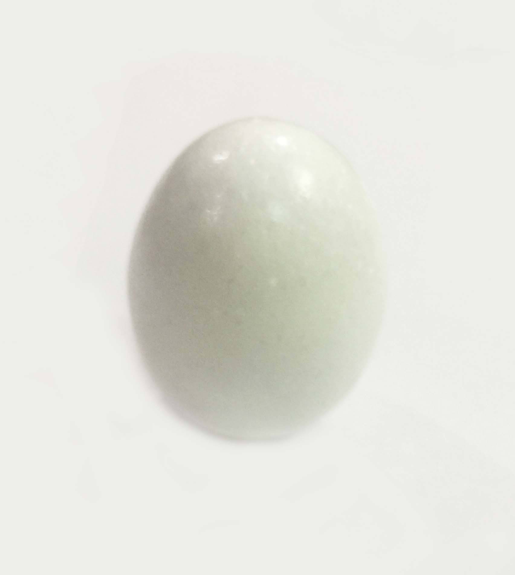     			Shri Astha Vinayak Marble Shaligram Idol ( 4 cm )