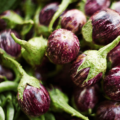 Jignisha Seeds Hybrid Eggplant Vegetable ( 50 Seeds )