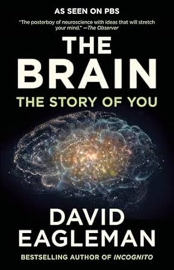     			The Brain - The Story of You