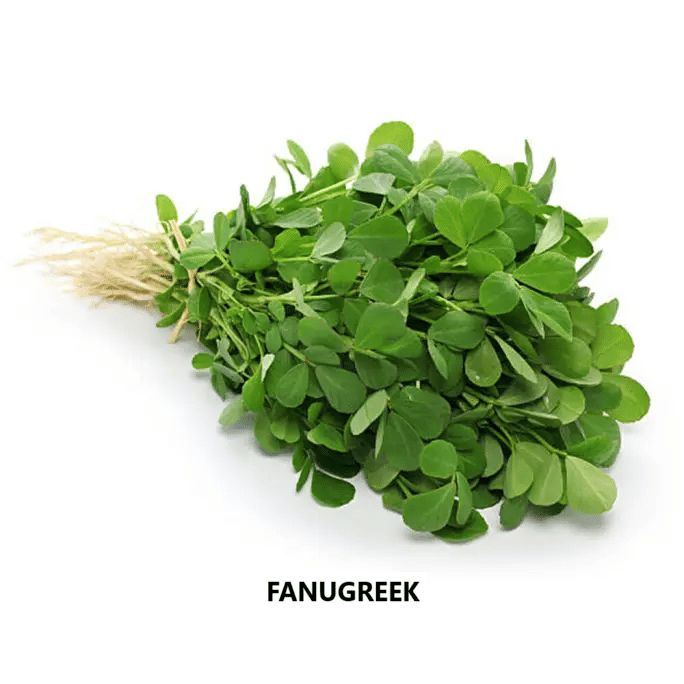 PARTHVA SEEDS Mixed Vegetable ( 250 Seeds ) PARTHVA SEEDS Mixed Vegetable ( 250 Seeds )