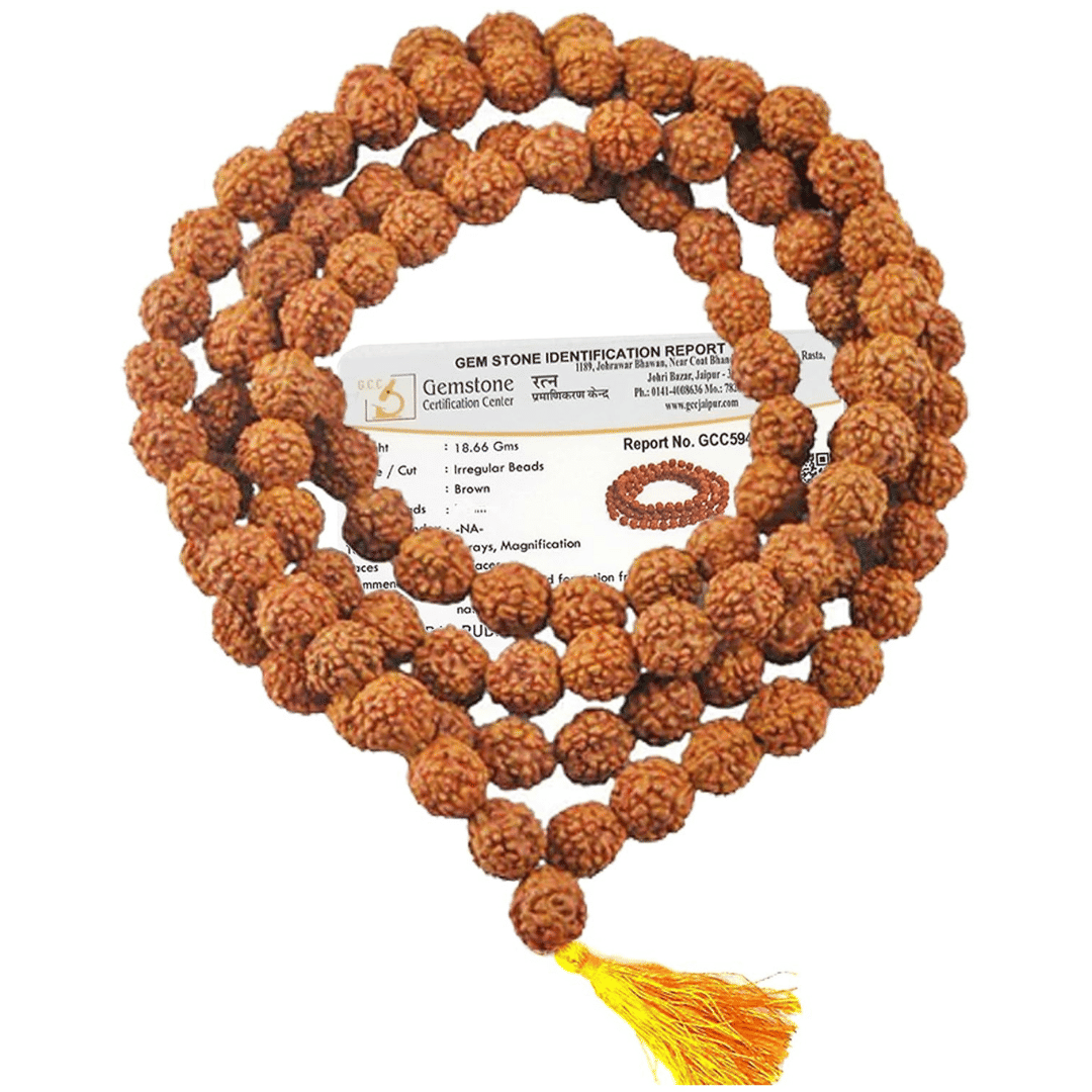     			NAVYAKSH 5 Mukhi Rudraksha Bead ( Pack of 1 )