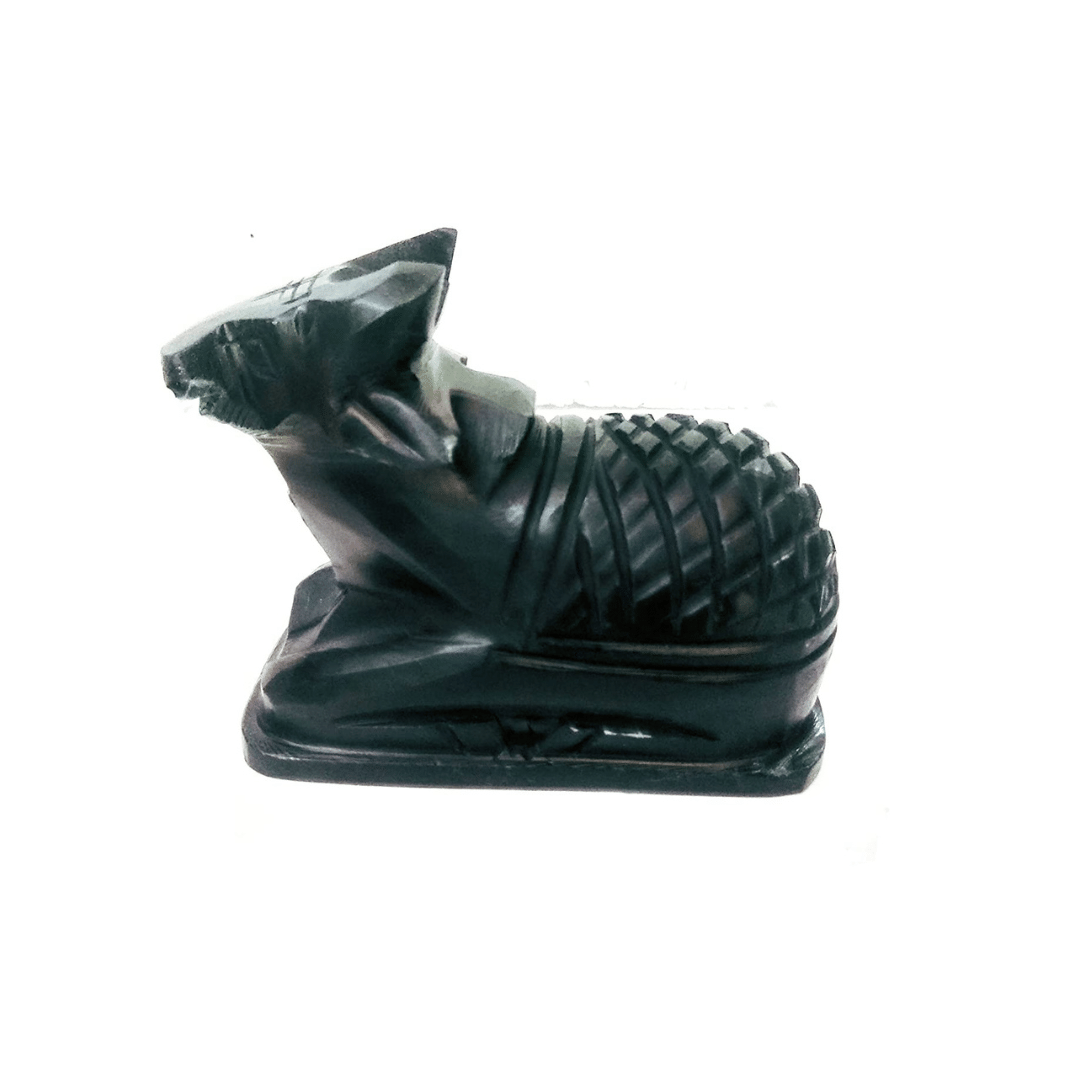 NAVYAKSH BackFlow Shiva Showpiece 12 cm - Pack of 1 NAVYAKSH BackFlow Shiva Showpiece 12 cm - Pack of 1