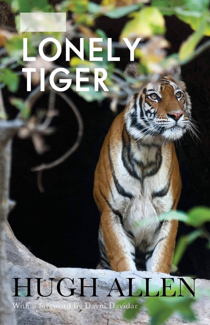    			The Lonely Tiger
