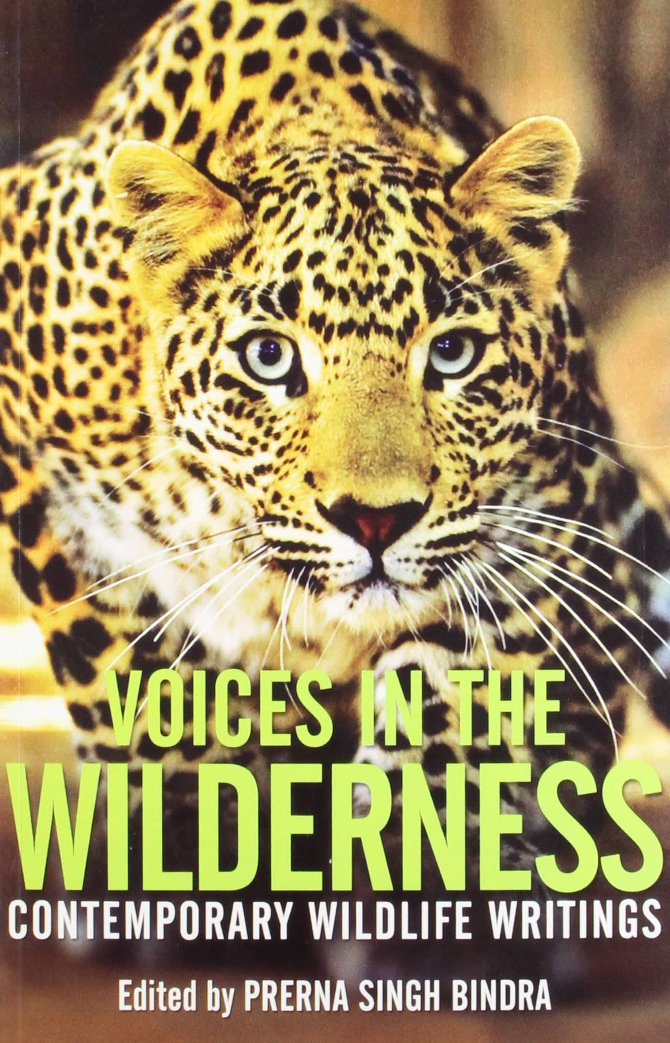     			Voices In The Wilderness