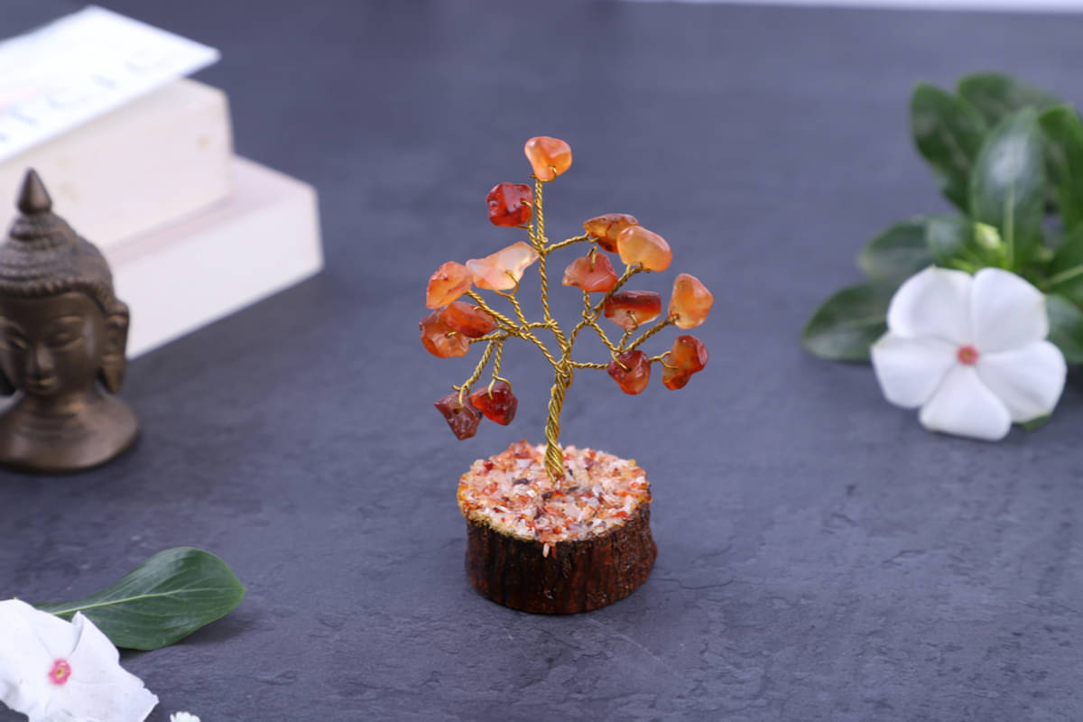     			Yogii Carnelian Tree (Pack of 1)