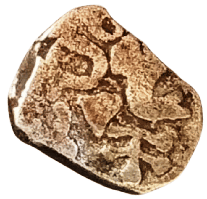    			Mauryan Silver PMC Type