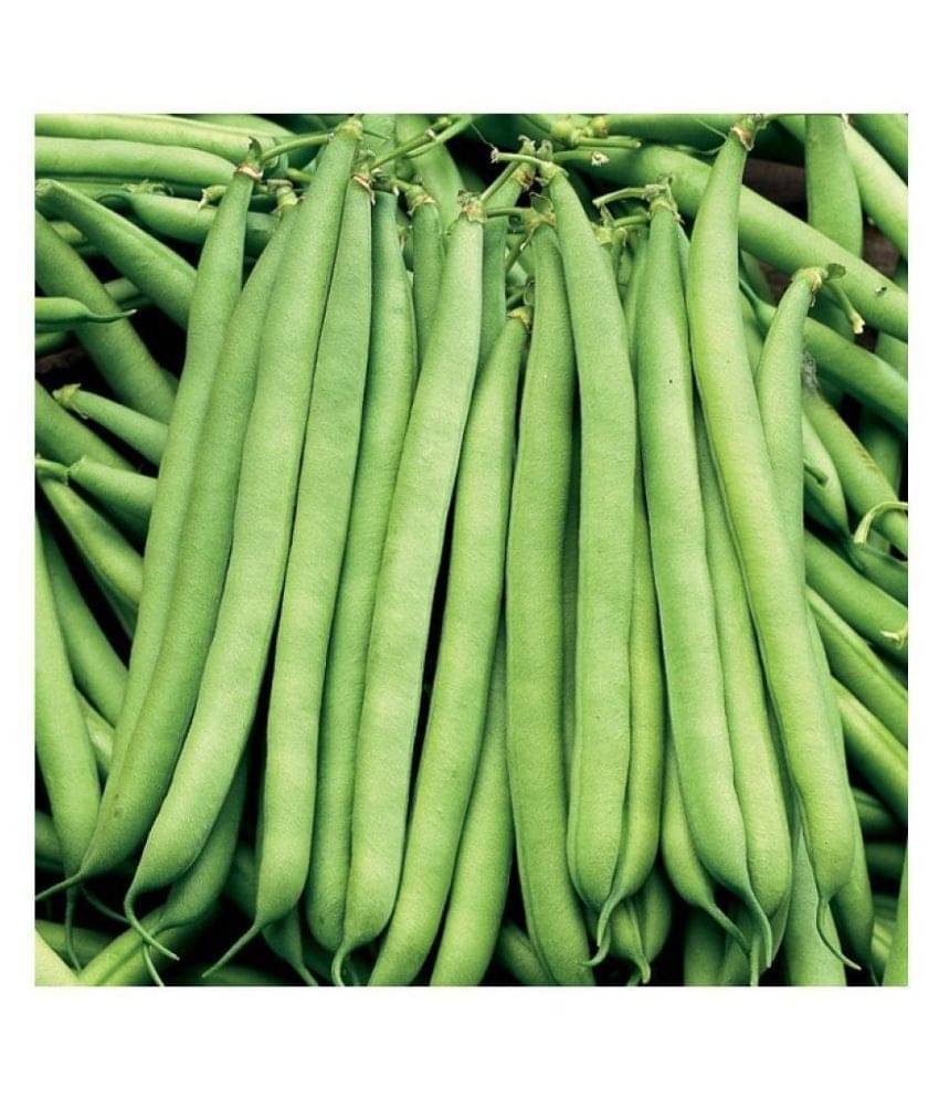     			Vedhahi French Beans Vegetable ( 40 Seeds )