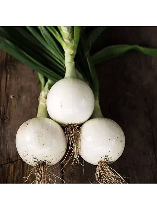     			Vedhahi Hybrid White Onion Vegetable ( 20 Seeds )
