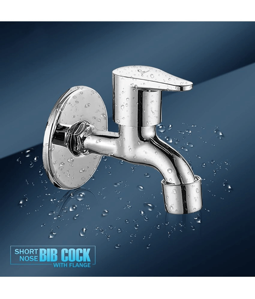 Bathfax TORRENT STAINLESS STEEL BIB TAP (PACK OF 1) Steel Bathroom Tap (Bib Cock)