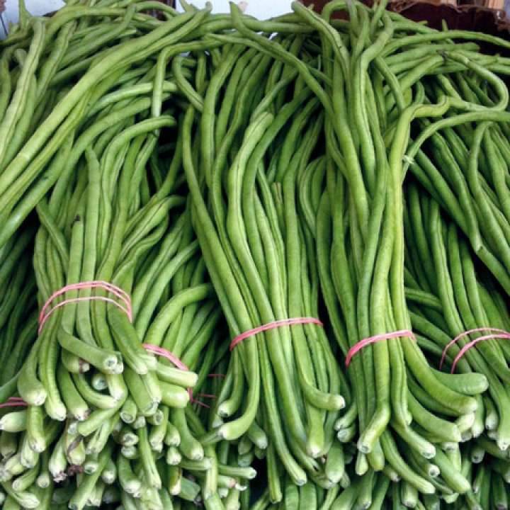 Jignisha Seeds Lobia Beans Vegetable ( 50 Seeds ) Jignisha Seeds Lobia Beans Vegetable ( 50 Seeds )