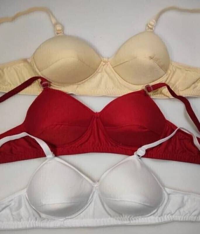     			ultraundies Pack of 3 Cotton Blend Lightly Padded Everyday Bra For Women ( Multicolor )
