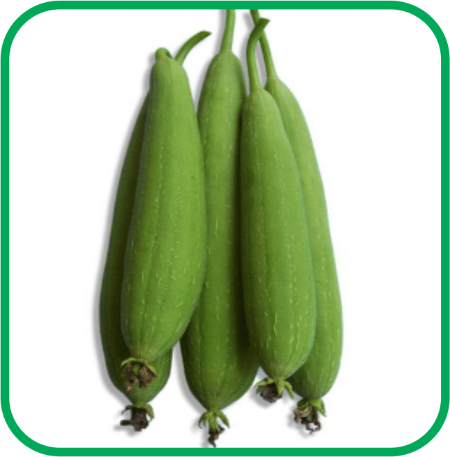     			Aero Seeds Sponge Gourd Pack of 30 Seeds