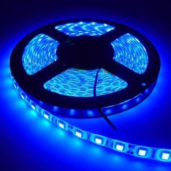     			ZESTRUM Blue 5M String Light ( Pack of 1 )