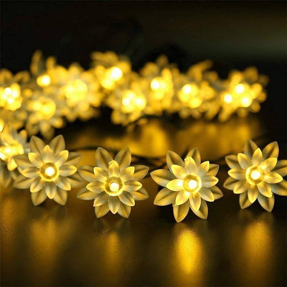     			ZESTRUM Gold 3M String Light ( Pack of 1 )